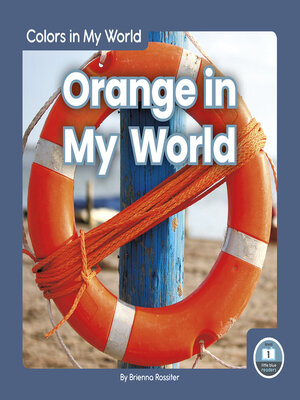 cover image of Orange in My World